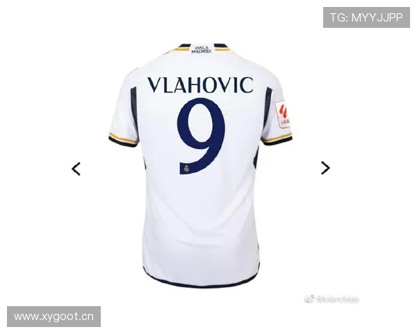 弗拉霍维奇 vs 凯恩：传统中锋与全能前锋的对比分析